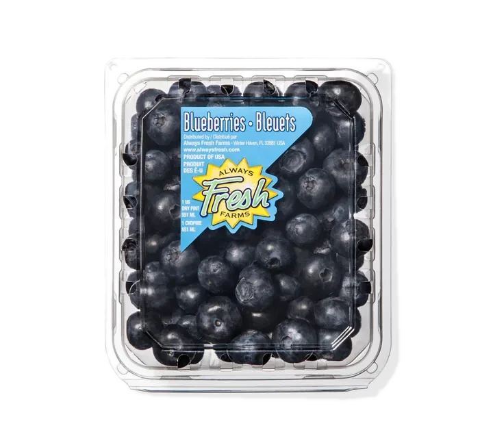 Fresh Blueberries — 1 Pint
