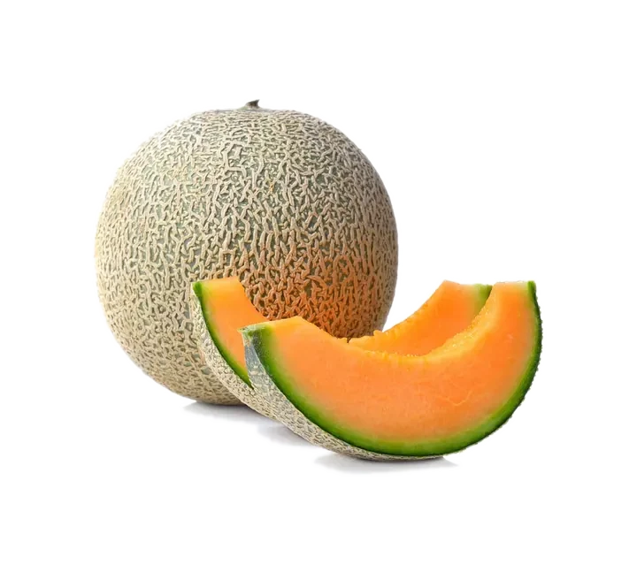 Fresh Melon